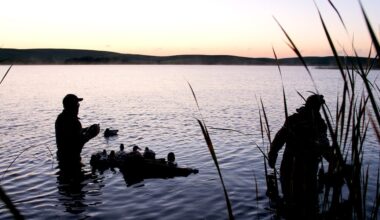New York offers license-free freshwater fishing for National Hunting and Fishing Day