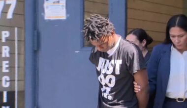Teen arrested in West Indian Day Parade shooting was out on bail – NBC New York