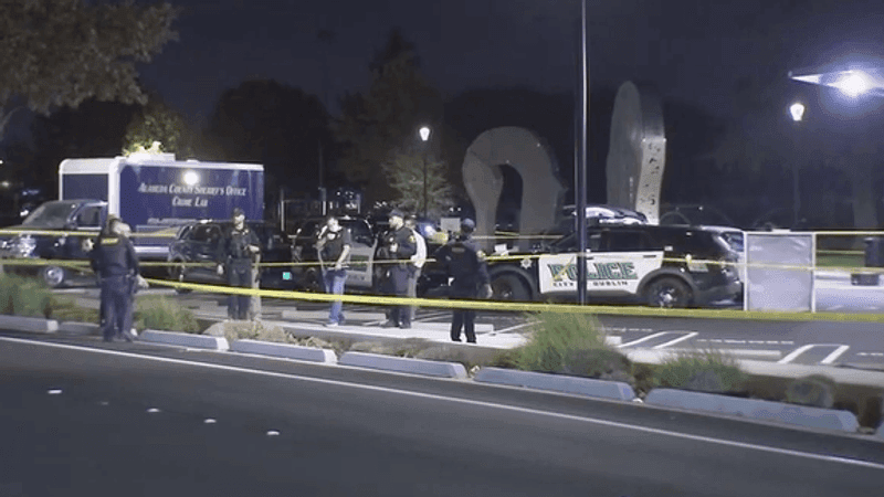 NYT exec allegedly killed by in-laws (KGO via CNN Newsource)