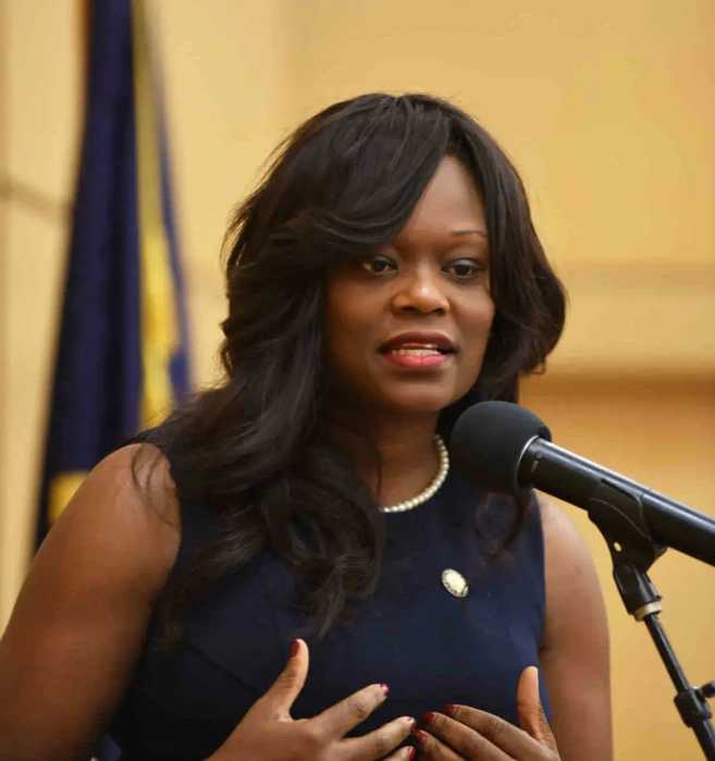 Rodneyse Bichotte Hermelyn seen speaking at announcement in Brooklyn