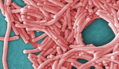 NYC City Council holds hearing on plans for future Legionnaires' disease outbreaks