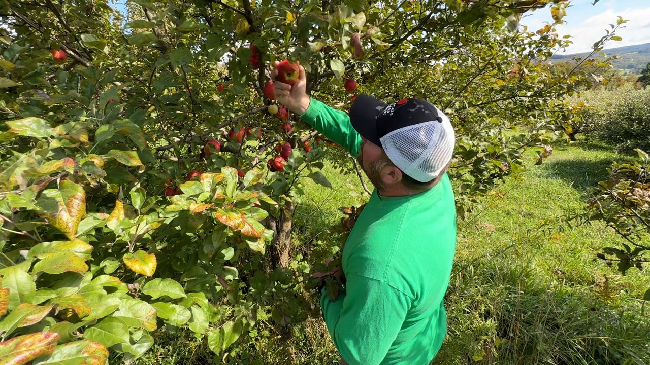 Apple orchards open despite harsh spring freeze