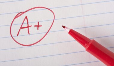 Report Gives Near Perfect Score For New York State Teachers