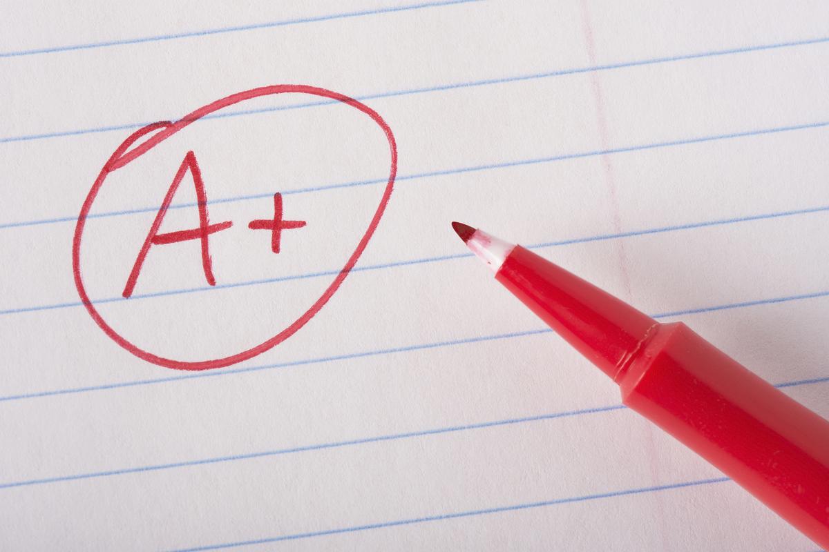 Report Gives Near Perfect Score For New York State Teachers