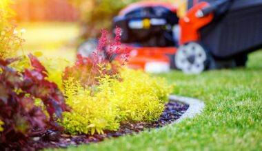 Fall Means Mowing Days Are Number In New York State