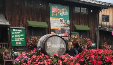Best Cidery In The US Located In New York State