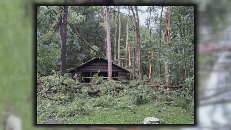 Several fallen trees are pictured outside of a shelter at Letchworth State Park after a tornado and powerful storm hit the region Wednesday, Sept. 2, 2026. (Photo provided by Letchworth)