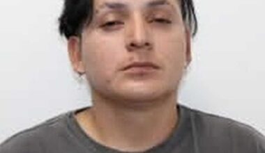Drunk Camaro Driver Fights Palisades Park Cops After Route 46 Stop: Police