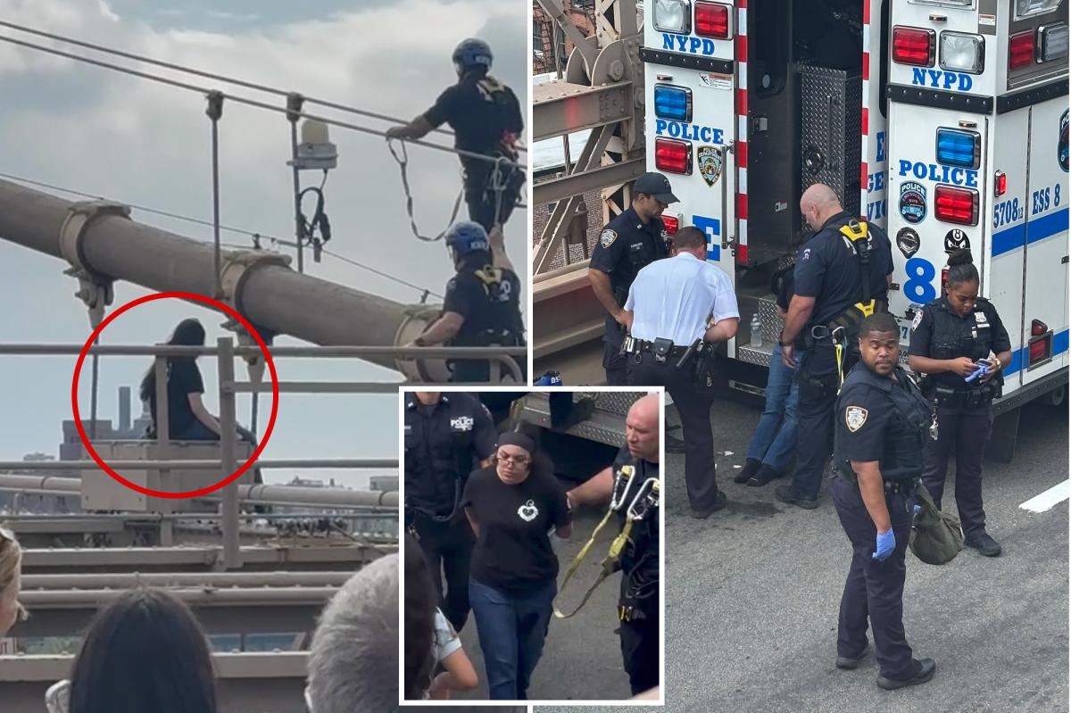 Woman rescued by NYPD as she was about to jump off Brooklyn Bridge: video