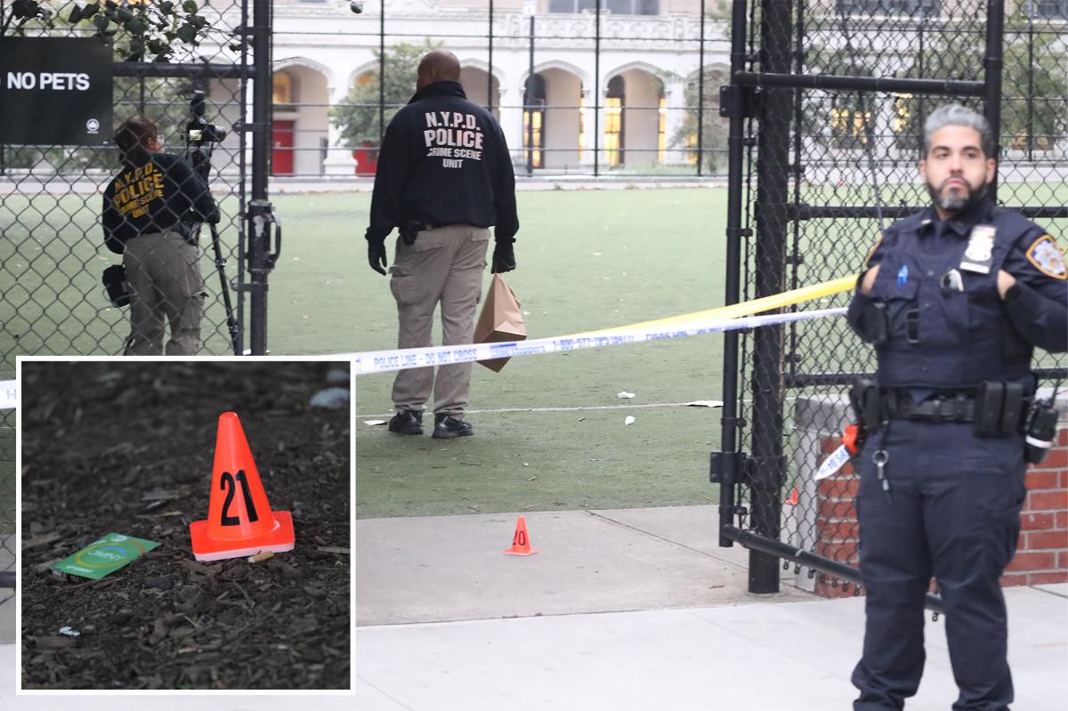 Man, 24, killed in shocking midday shooting inside NYC park: cops