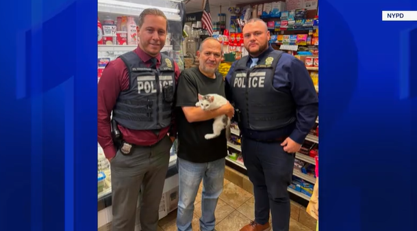 News 12 | Brooklyn | Park Slope Bodega Cat Returned After Police Track Down Suspected Thief