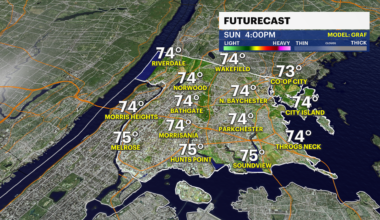 News 12 | Bronx | Your Daily Bronx Weather Forecast