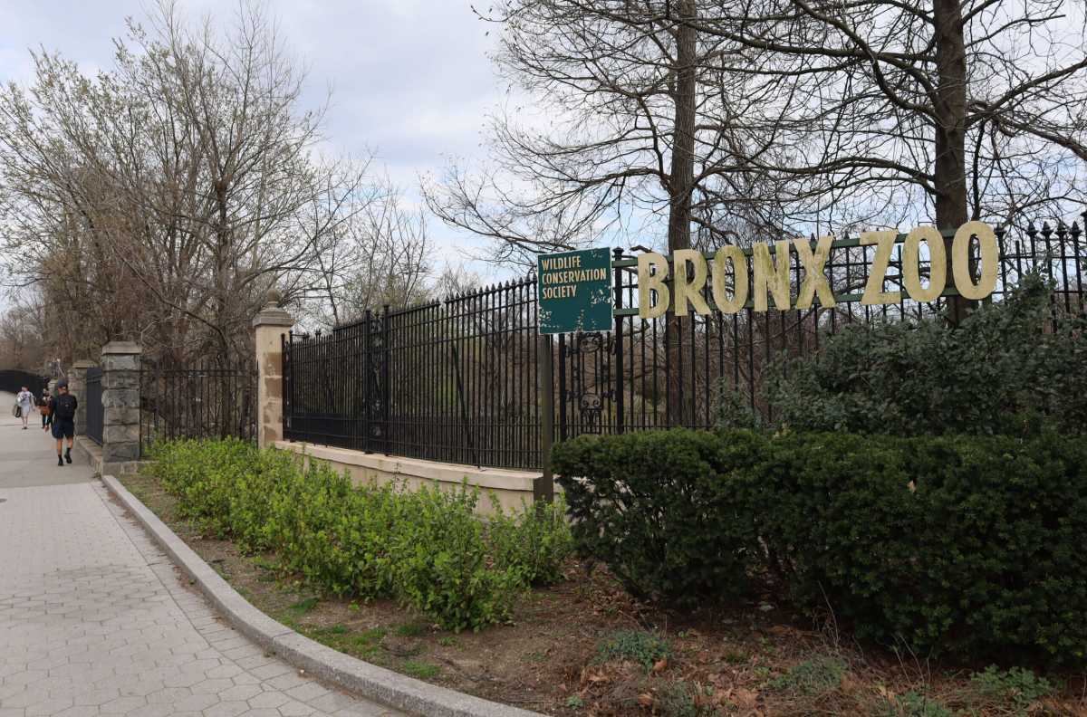 What’s happening | Plant sale, scavenger hunt, Boogie Down Comedy and more – Bronx Times