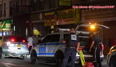 News 12 | Brooklyn | Man Struck And Killed By B44 Mta Bus In Flatbush Hit And Run