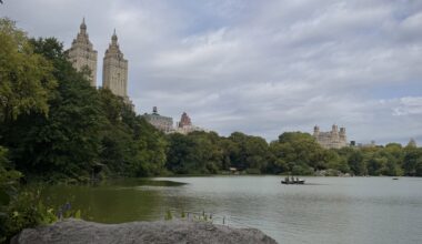 Monday Bulletin: Friedmans To Open Another Restaurant on the UWS; Man Hit by Falling Tree Branch on Central Park West; Scott Stringer Talks UWS