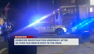 News 12 | Brooklyn | Bed Stuy Man Dies After Being Shot In The Head In Brownsville