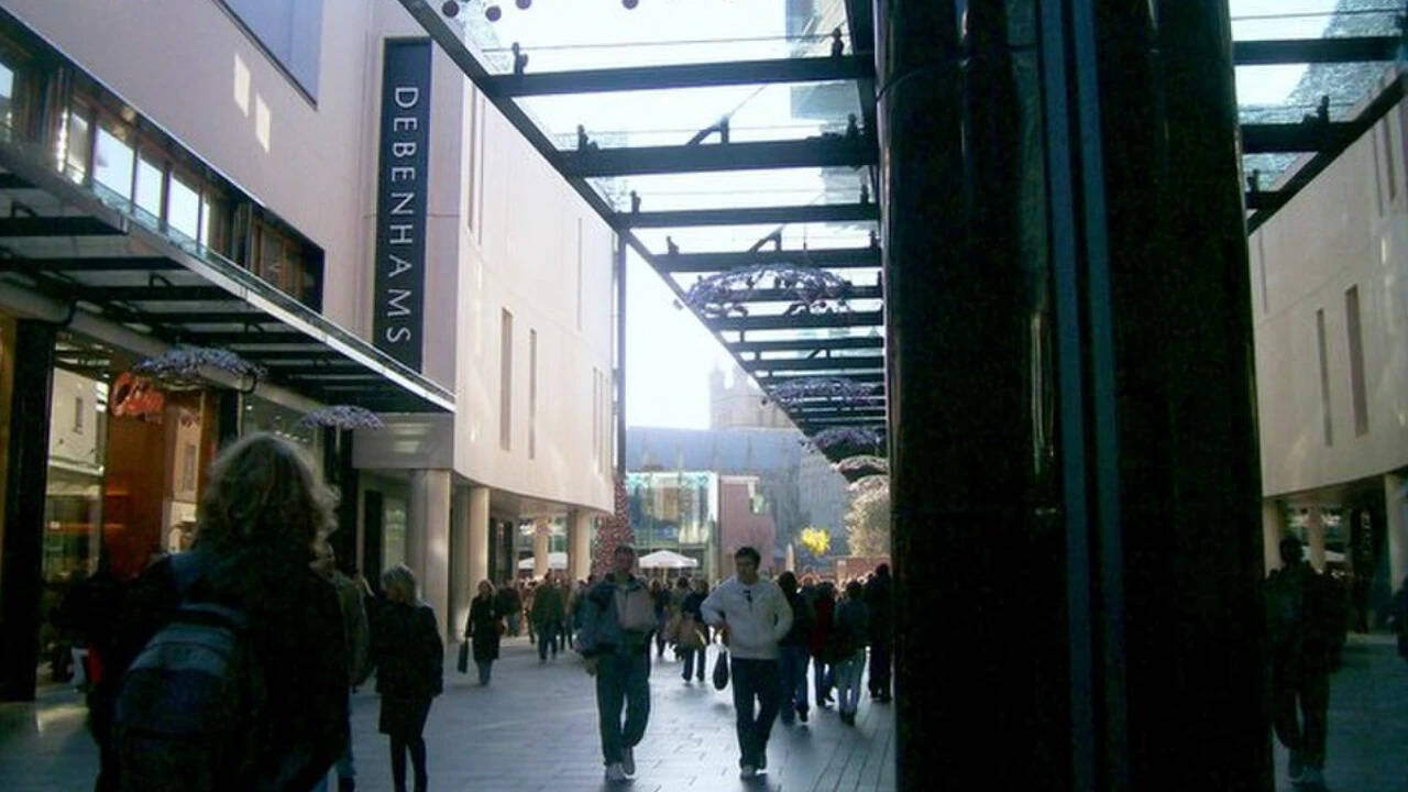 The idea came after Levine found herself caught up in the pressures of Christmas shopping and increasingly concerned about her finances and the culture of buying. Image Credits: Wikimedia Commons. Christmas_Shopping_-_geograph