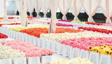 Fake flowers from CJ Hendry draw big crowds to Rockefeller Center – NBC New York