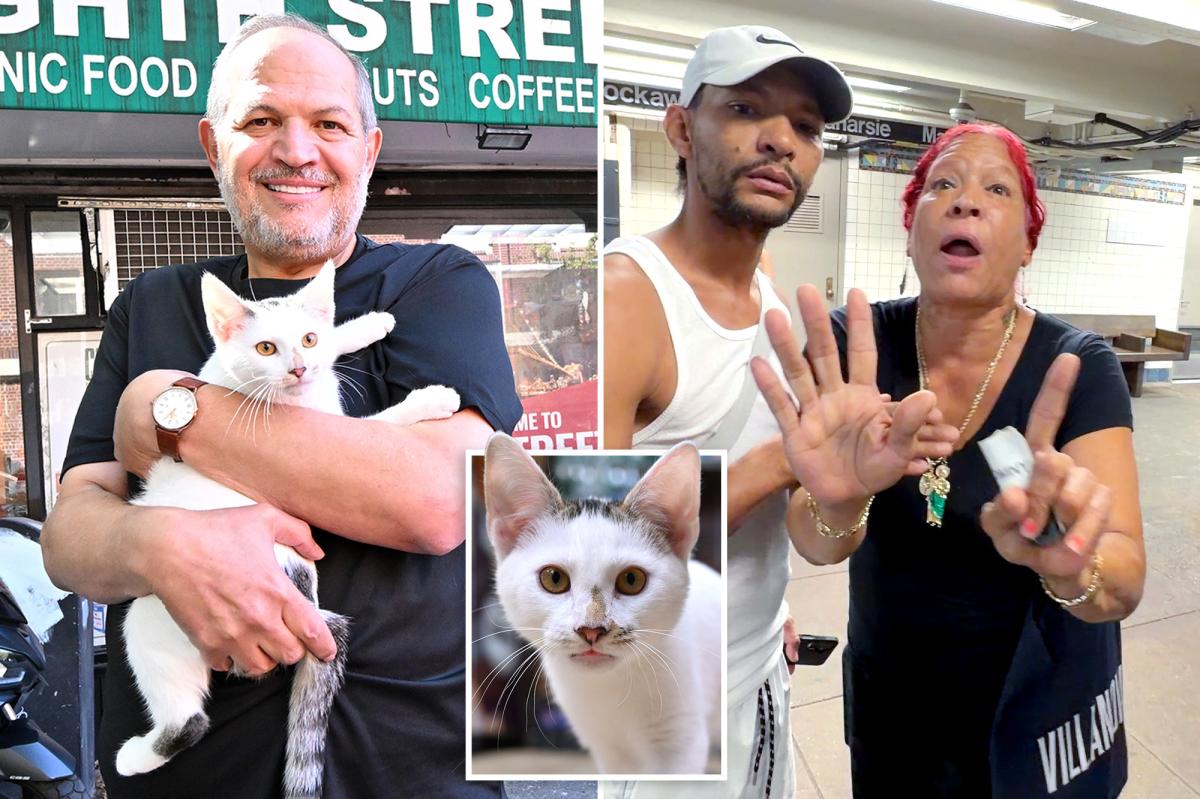 NYC 'animal lover' accused of stealing beloved bodega cat furiously claims she was unfairly arrested