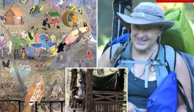 Woman beaten to death in Central Park ID'd as beloved homeless artist famed for painting birds