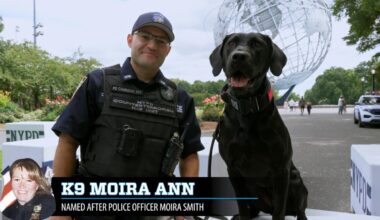 NYPD names K-9s after fallen 9/11 heroes