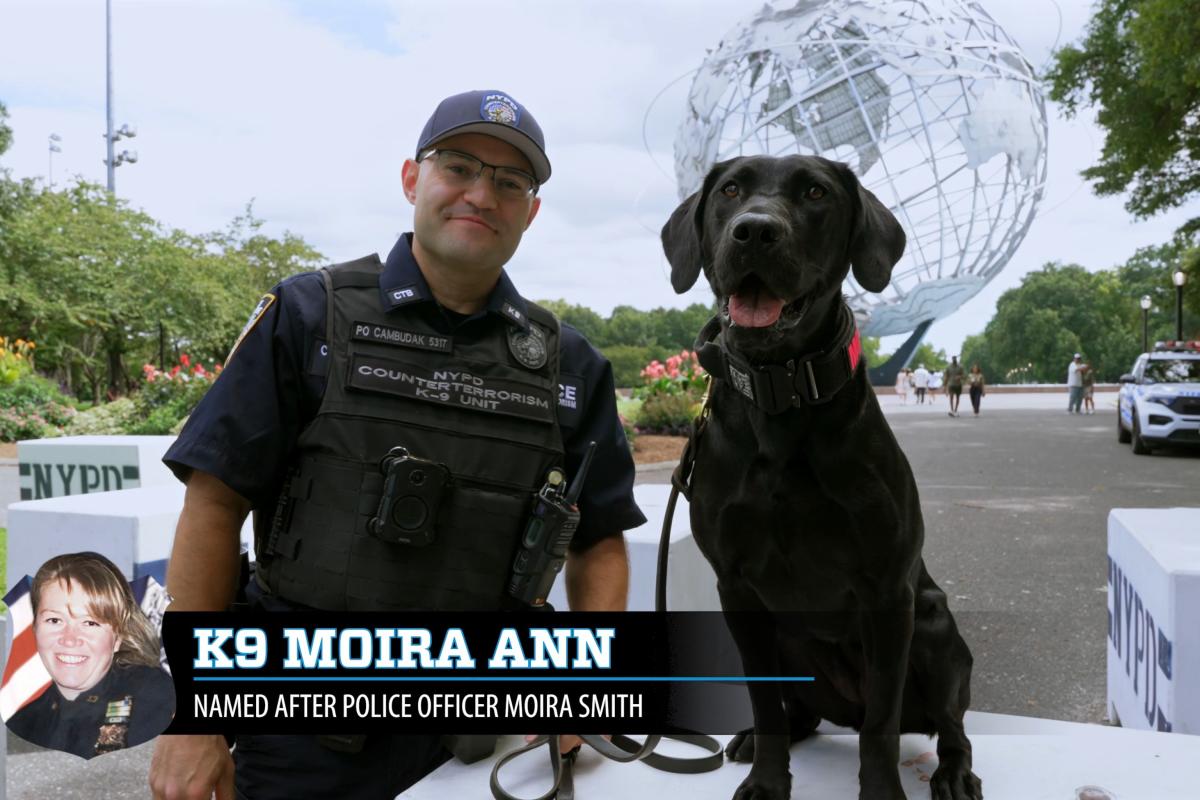NYPD names K-9s after fallen 9/11 heroes