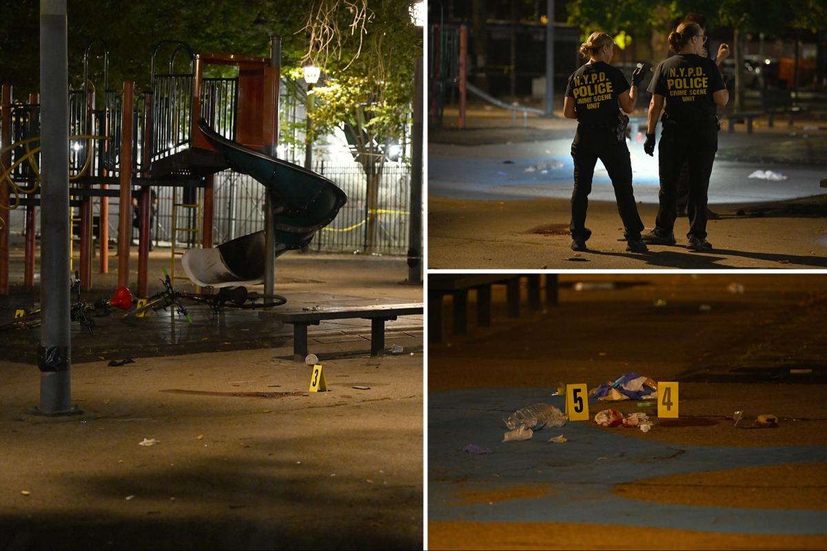 2 fatally shot at NYC playground, police say