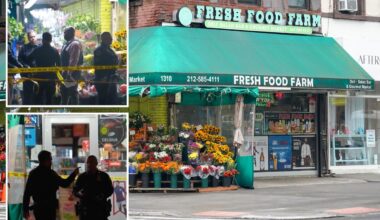 Homeless NYC nutjob slashes rival with box cutter, spilling his intestines: court docs