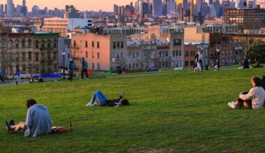 WNYC News show image