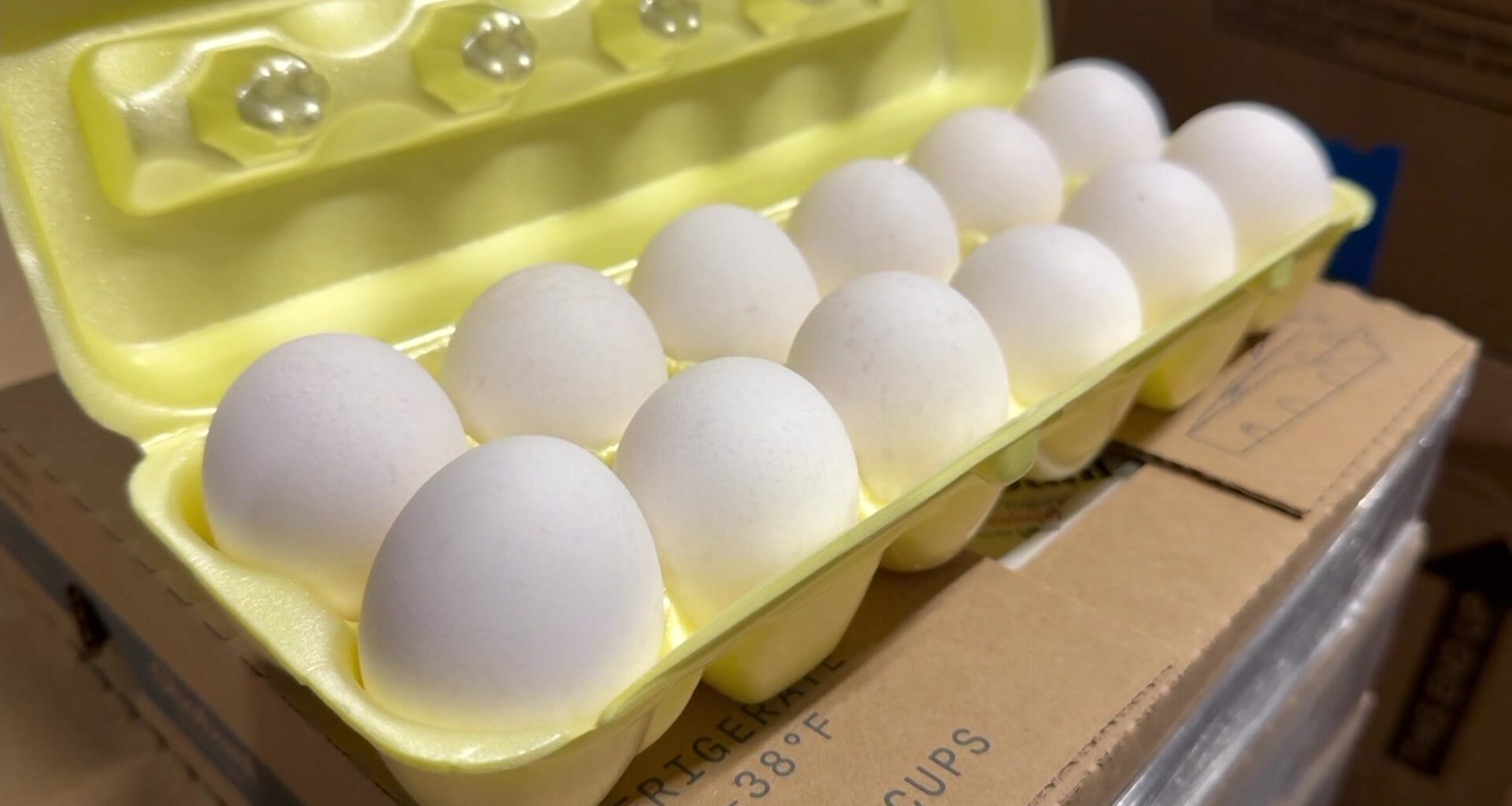 News 12 | Bronx | Long Island Food Banks Receive 972000 Eggs Through Settlement Helping Families Facing Food Insecurity