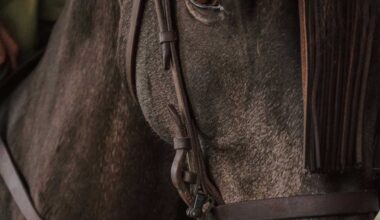 Robert Seitz Arrested In Horse Slaughter Transport: Police