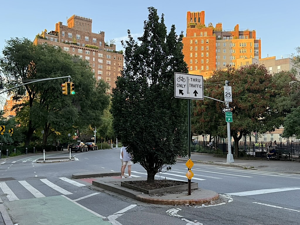 A city intersection featuring traffic signs indicating 'Bicycles Only' and 'Thru Traffic,' with a small planted area in the middle. In the background, a multi-story brick building and trees are visible under a clear sky.