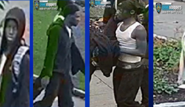 News 12 | Bronx | Delivery Drivers Targeted In 2 Edenwald Knifepoint Robberies
