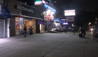 Stranger tried to grab 4-year-old boy from grandmother on Brooklyn street, mom says