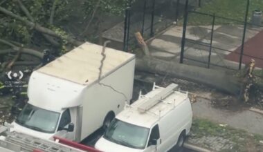 NYCHA employee killed by falling tree in Brooklyn as nor'easter impacts region