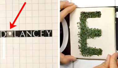 Artist Brings a Touch of Nature to NYC Subway Station With Moss-Covered Letters