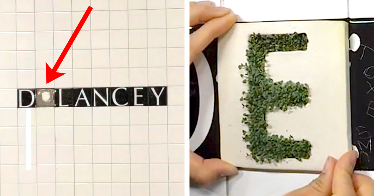 Artist Brings a Touch of Nature to NYC Subway Station With Moss-Covered Letters