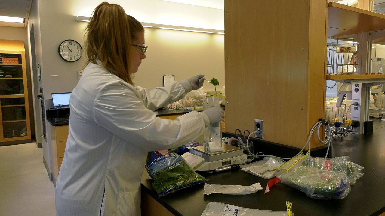 How New York tests food and handles recalls