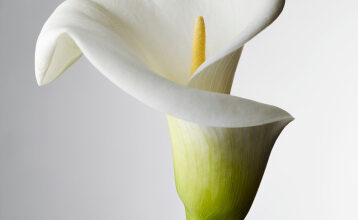 Patricia Thurner | Obituary | Minnesota Star Tribune