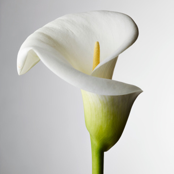 Patricia Thurner | Obituary | Minnesota Star Tribune
