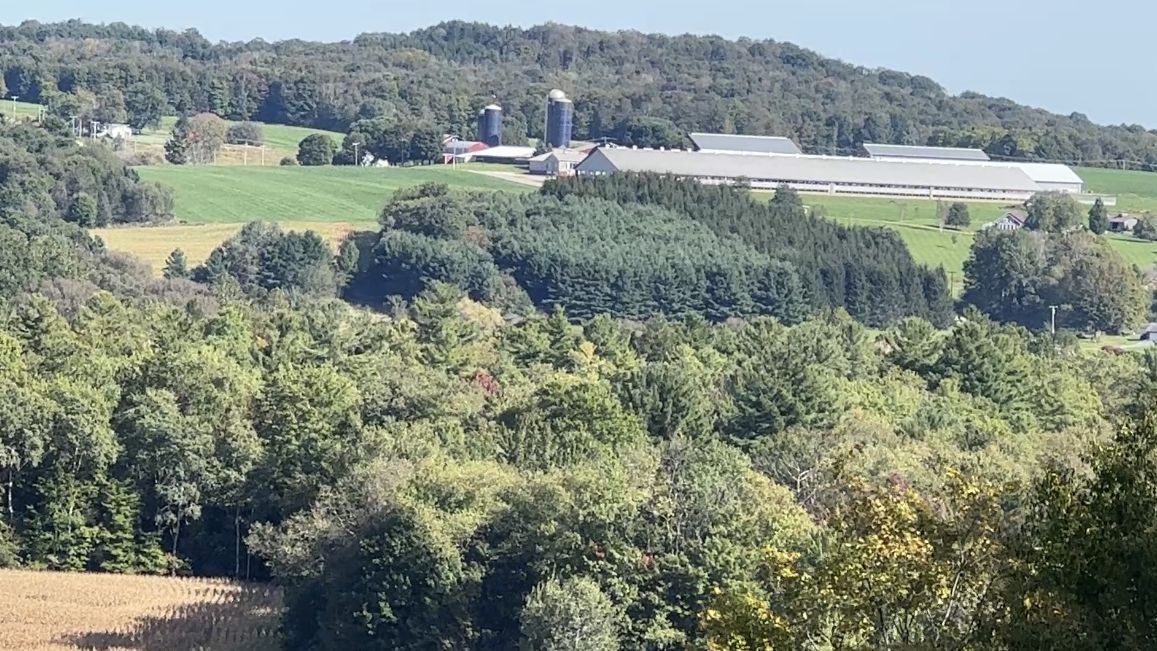 Fall foliage drives tourism season economy in N.Y.