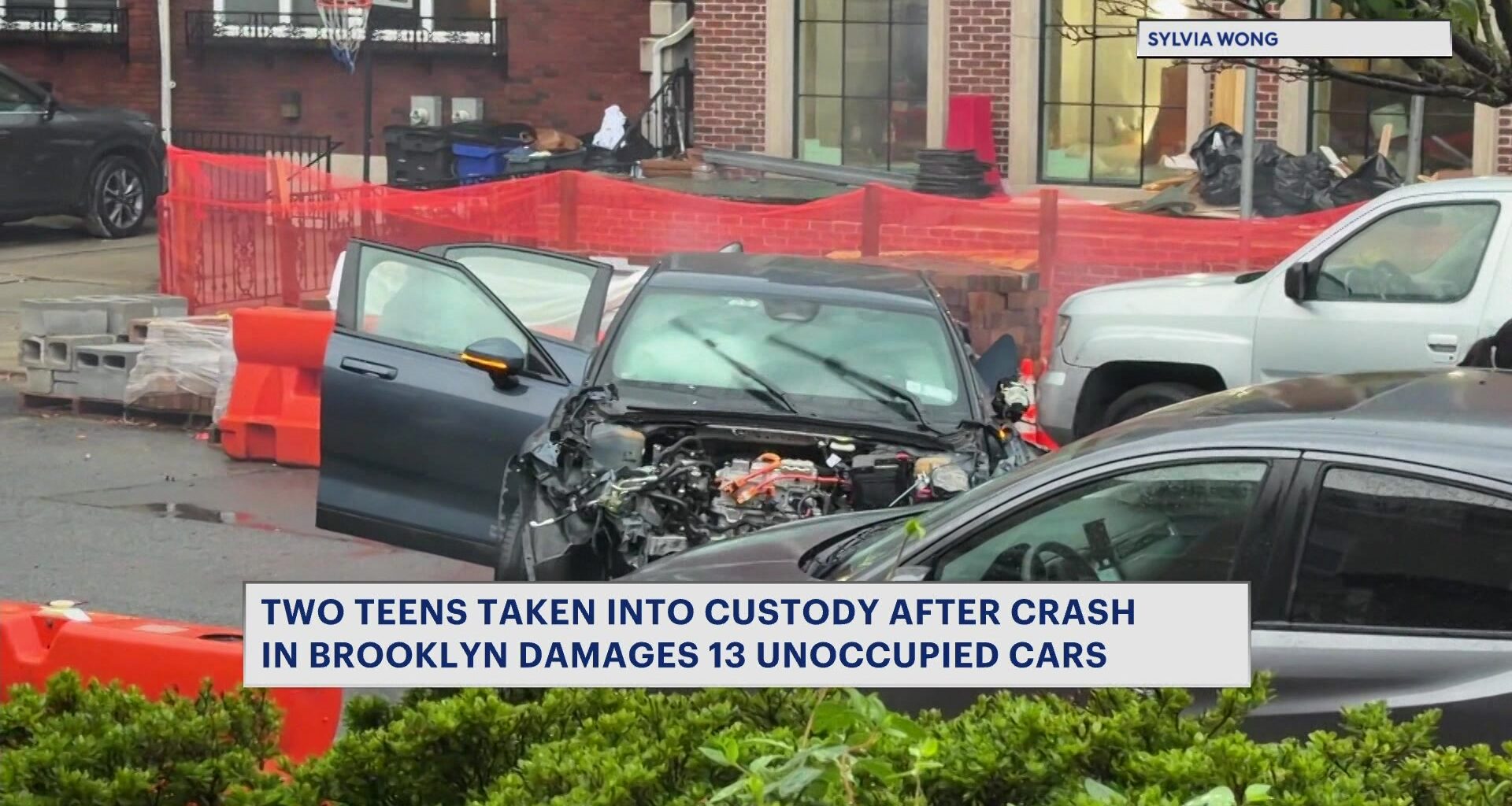 News 12 | Brooklyn | 2 Teens In Custody After Dozens Of Cars Damaged In Gravesend