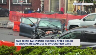 News 12 | Brooklyn | 2 Teens In Custody After Dozens Of Cars Damaged In Gravesend