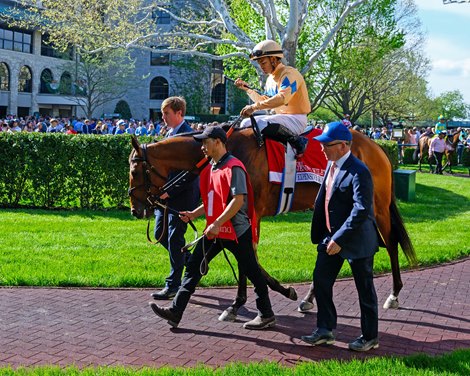 Expensive Queen to be Offered at Keeneland November