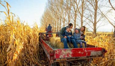 Where to hop on a hayride in and around Queens – QNS