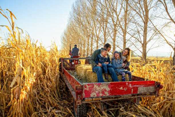 Where to hop on a hayride in and around Queens – QNS