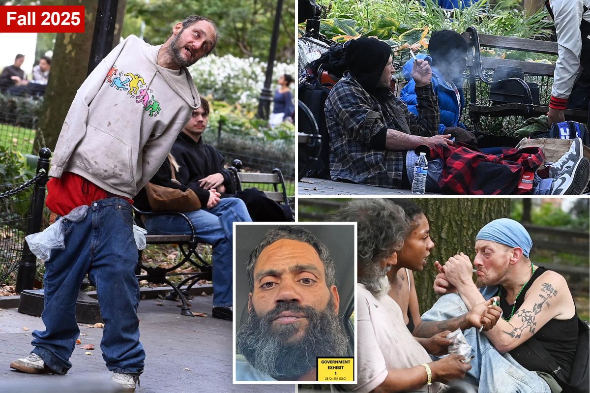 Washington Square Park drug kingpin and his 'Yellow Bag boys' ran wild Wall Street-worthy operation: insider