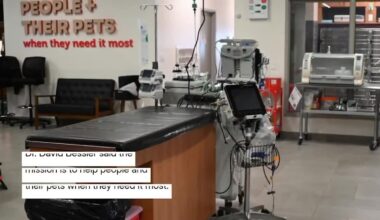 National Pet Hospital Chain Opens First Staten Island Location, Offers 24/7 Care