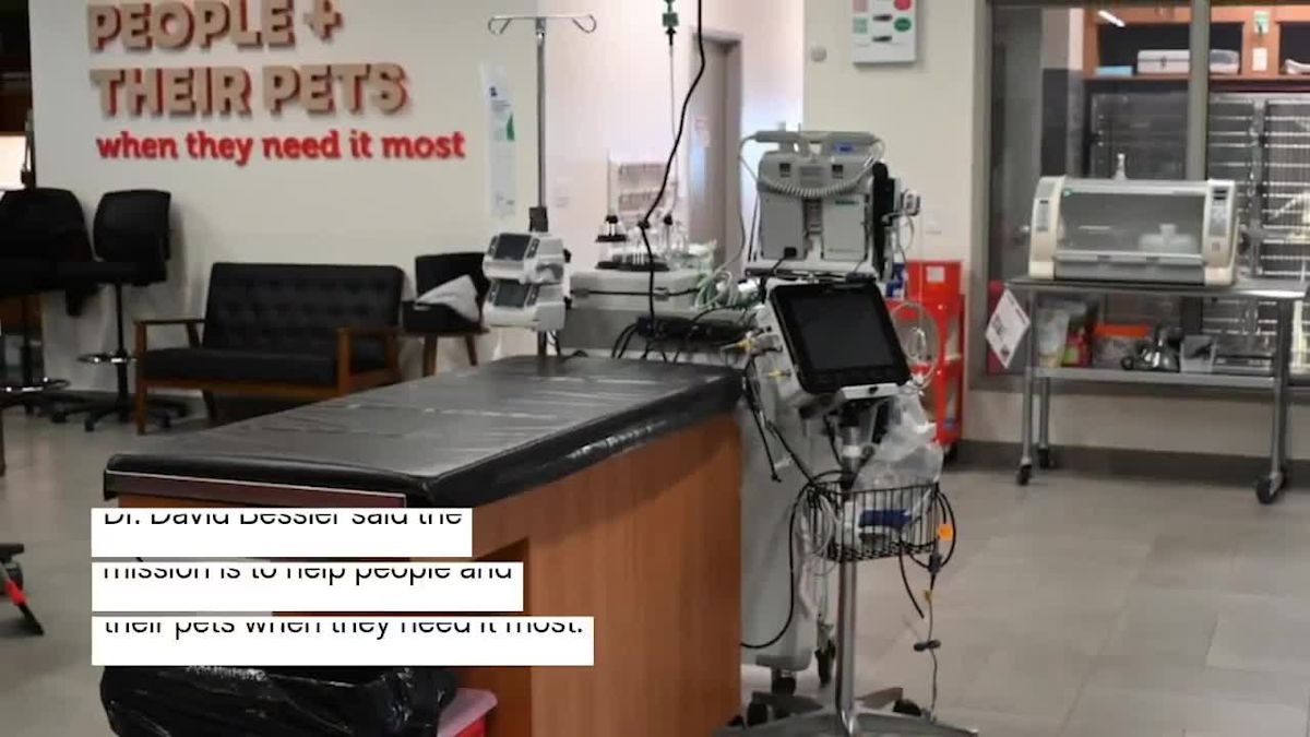 National Pet Hospital Chain Opens First Staten Island Location, Offers 24/7 Care