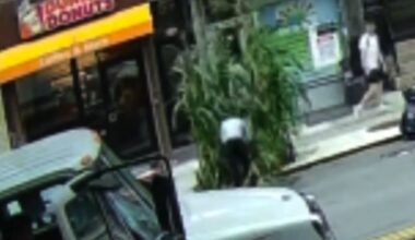 NYC Kids Spent Months Growing a Sidewalk Corn Garden, Only for Someone to Ruthlessly Tear It Down